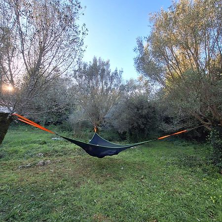 Moradia Rural De Charme Agradavel E Acolhedora Villa Arrimal Dış mekan fotoğraf