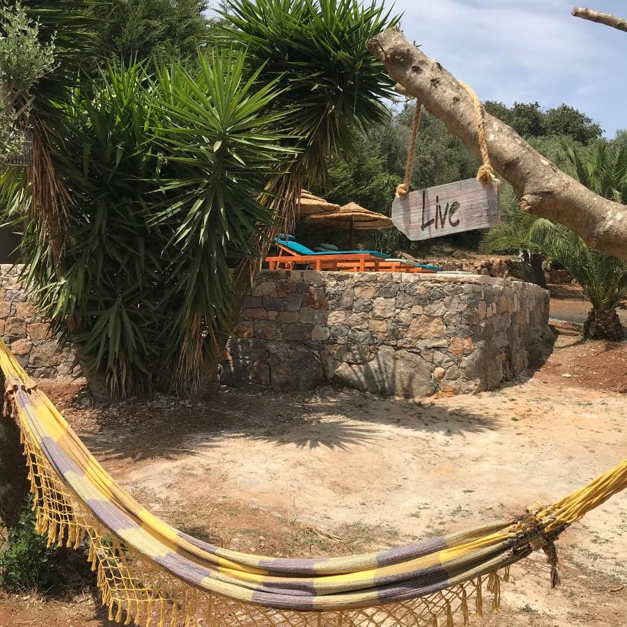 Moradia Rural De Charme Agradavel E Acolhedora Villa Arrimal Dış mekan fotoğraf