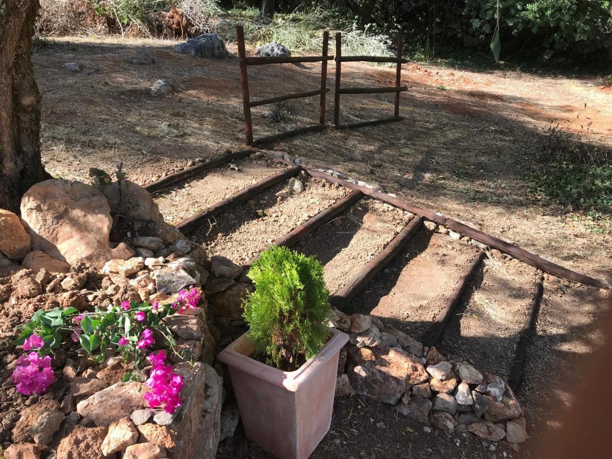 Moradia Rural De Charme Agradavel E Acolhedora Villa Arrimal Dış mekan fotoğraf