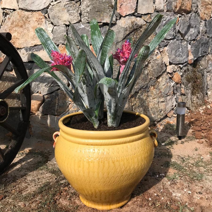 Moradia Rural De Charme Agradavel E Acolhedora Villa Arrimal Dış mekan fotoğraf