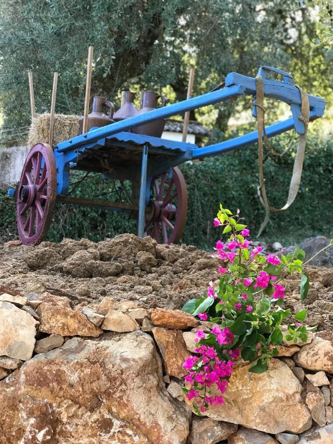 Moradia Rural De Charme Agradavel E Acolhedora Villa Arrimal Dış mekan fotoğraf