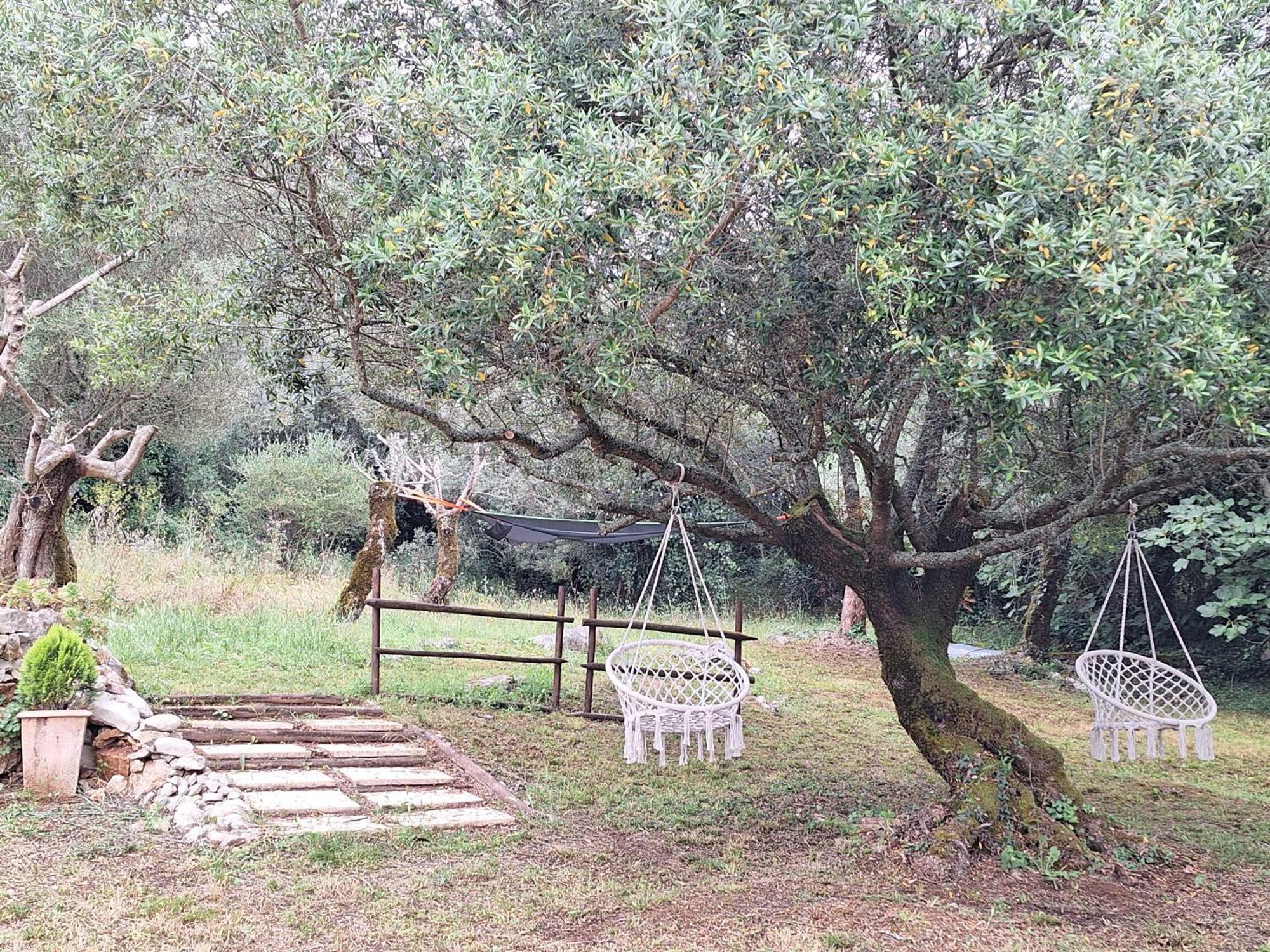 Moradia Rural De Charme Agradavel E Acolhedora Villa Arrimal Dış mekan fotoğraf