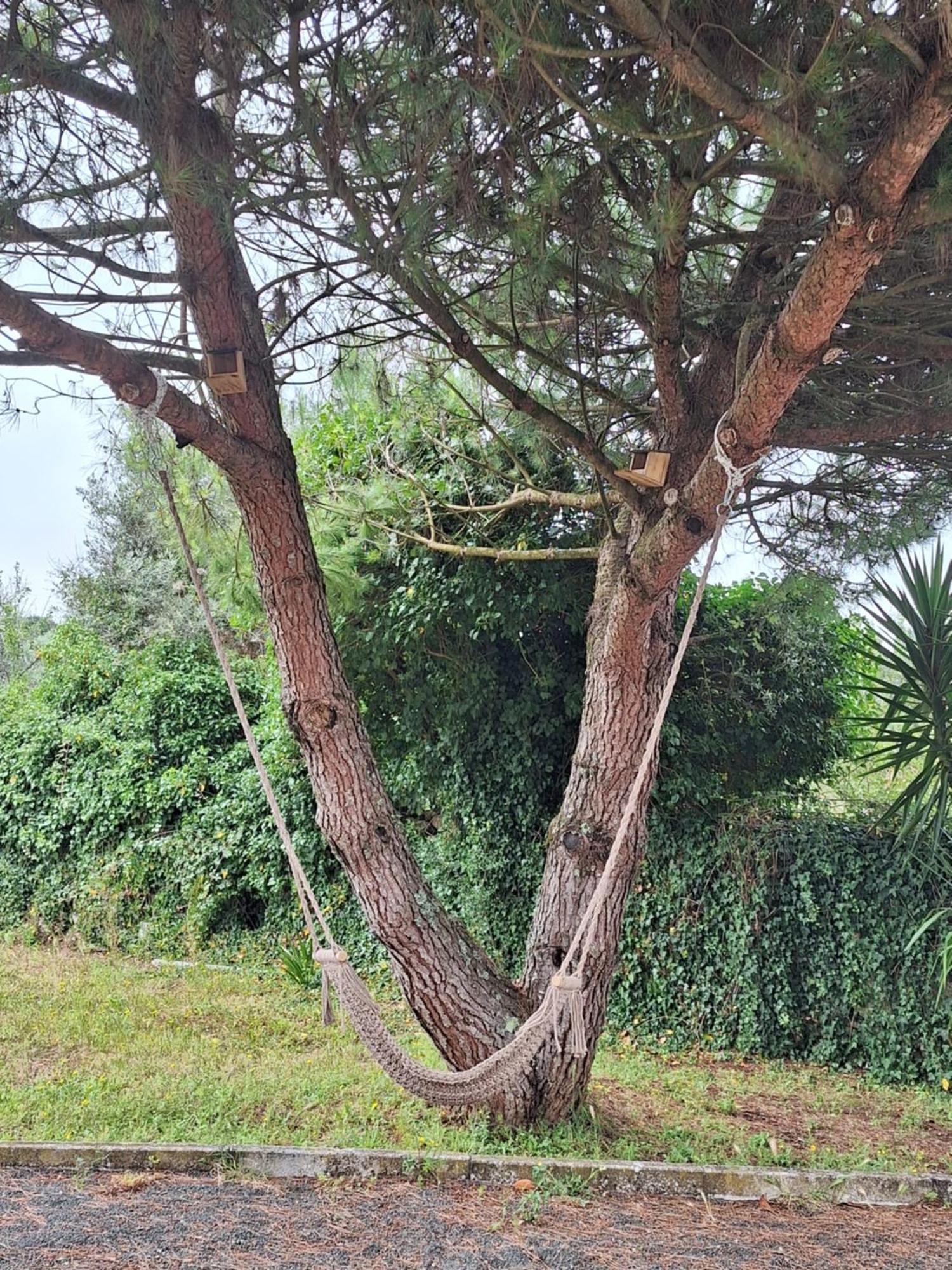 Moradia Rural De Charme Agradavel E Acolhedora Villa Arrimal Dış mekan fotoğraf